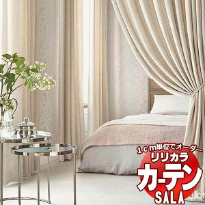 �J�[�e�� �V�F�[�h �����J�� SALA Feminine LS-63268�E63269 �W���d�l �`�Ԉ�����H ��2�{�q�_ ��67x����220cm�܂�