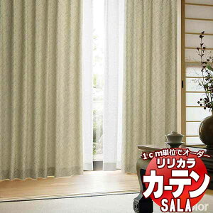 �J�[�e�� �V�F�[�h �����J�� SALA Wa LS-63317�E63318 �W���d�l �`�Ԉ�����H ��2�{�q�_ ��66x����160cm�܂�