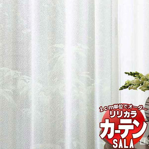 �J�[�e�� ���[�X �����J�� SALA Lace LS-63542 �W���d�l ���M�����[�D�� ��2�{�q�_ ��100x����100cm�܂�