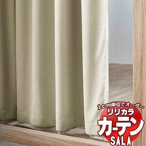 �J�[�e�� �V�F�[�h �����J�� SALA Liner ���n LS-63554�E63555 �t���b�g���C�i�[ ���J�� ��1�{�q�_ ��410x����220cm�܂�