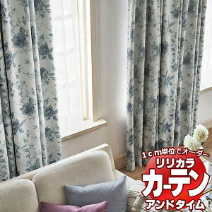 �J�[�e�����V�F�[�h �����J�� �I�[�_�[�J�[�e�� ��time �A���h�^�C�� AUTHENTIC TM-54061�`54062 �v���[���V�F�[�h �h������ style no.60 240×140cm�܂�