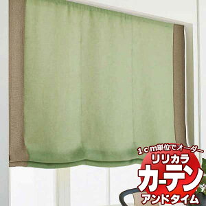 �v���[���V�F�[�h �����J�� �I�[�_�[�J�[�e�� ��time �A���h�^�C�� PLAIN COLOR PALETTE CPS02 �T�C�h�{�[�_�[�X�^�C�� TM-54135�`54146