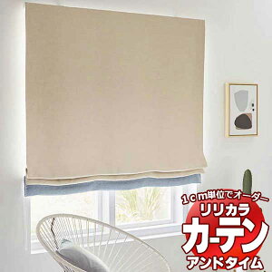 �v���[���V�F�[�h �����J�� �I�[�_�[�J�[�e�� ��time �A���h�^�C�� PLAIN COLOR PALETTE CPS01 �{�g���{�[�_�[�X�^�C�� TM-54147�`54155