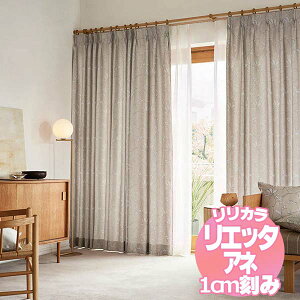 �����J�� ���G�b�^�A�l �I�[�_�[�J�[�e�����V�F�[�h �`�Ԉ�����H ��2�{�q�_ NE243�ENE244 ��150×��180cm�܂�