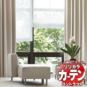 �R���g���N�g�J�[�e�� �����J�� �h���{�݁E �Ռ� �n�C�p�[�N�[�� �n�C�p�[�Ռ��D���d�l ��1.5�{�q�_ 280×260cm�܂�