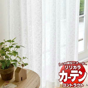 RgNgJ[e J [X@LERہEՔM~[ M[Ddl 1.5{q_ 120×180cm܂