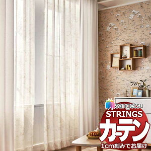 I[_[J[e TQc XgOX SSdl(X^_[h)1.5{q_FܕԂ SC7503 v[ 300×280cm