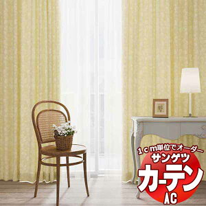 yn݂̂̍wI 1mȏ10cmPʂōw\z J[eVF[h TQc AC Luxury AC2223`2224