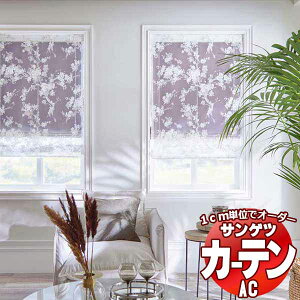 �J�[�e�����V�F�[�h �T���Q�c AC Design Sheer AC2503�`2504 SS�d�l(�X�^���_�[�h)��2�{�q�_ ���R�g�� ��300x����240cm�܂�