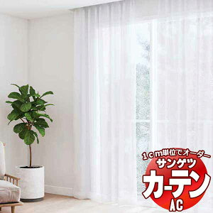 �J�[�e�����V�F�[�h �T���Q�c AC Sheer �� Lace AC2619 SS�d�l(�X�^���_�[�h)��2�{�q�_ ��225x����200cm�܂�