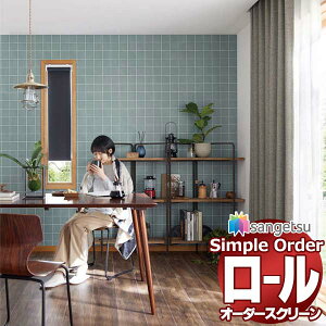 �T���Q�c �V���v���I�[�_�[ CS���[���X�N���[�� �`�F�[���� �u���b�N�A�E�g OPR531�`OPR539 ��50×����200cm��