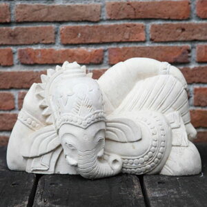 K[fjO 䂪Ƃ̑fGȃW[rX GNXeA JABIS Exterioro]EΑ (28301)