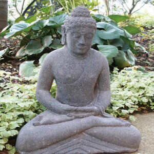 K[fjO 䂪Ƃ̑fGȃW[rX GNXeA JABIS ExteriorNoD1 (28302)