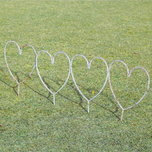 K[fjO 䂪Ƃ̑fGȃW[rX GNXeA JABIS ExteriorԒdtFX n[g^ (35330)