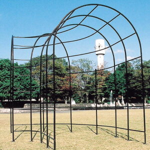 K[fjO 䂪Ƃ̑fGȃW[rX GNXeA JABIS Exteriorh[A[`@C (36433)