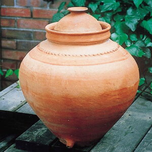 K[fjO 䂪Ƃ̑fGȃW[rX GNXeA JABIS ExteriorK (70098)