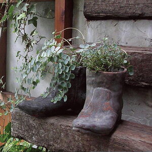 K[fjO 䂪Ƃ̑fGȃW[rX GNXeA JABIS ExteriorAeB[NNc^i1΁j (85001)