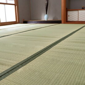【最大ポイント21倍＋クーポン】純国産 い草 上敷き カーペット 双目織 『草津』 江戸間4.5畳(約261×261cm）