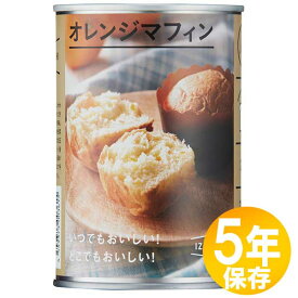 防災グッズ 非常食 災害備蓄用 IZAMESHI(イザメシ) 長期保存食 5年保存 パン オレンジマフィン 10個セット