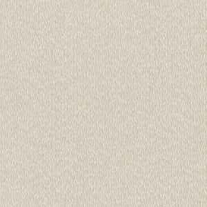 y10mȏwőzǎ NX J will EB LW-20 10mȏ1mPʂŔ̔