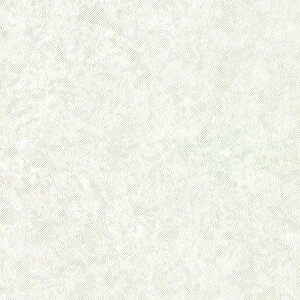 y10mȏwőzǎ NX J will EB LW-463 10mȏ1mPʂŔ̔