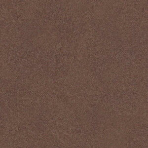 y10mȏwőzǎ NX J will EB LW-525 10mȏ1mPʂŔ̔