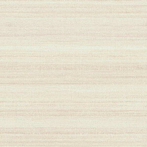 y10mȏwőzǎ NX J will EB LW-748 10mȏ1mPʂŔ̔