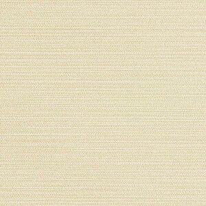 y10mȏwőzǎ NX J will EB LW-753 10mȏ1mPʂŔ̔