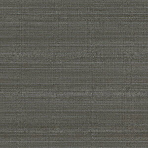 y10mȏwőzǎ NX J will EB LW-801 10mȏ1mPʂŔ̔