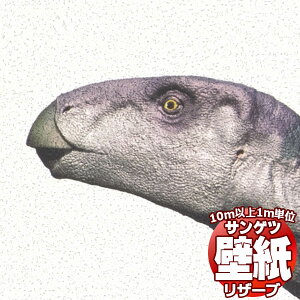 y10mȏwőzǎ NX TQc̕ǎIRESERVE U[u Ȋw RE55941 10mȏ1mPʂŔ̔