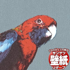 y10mȏwőzǎ NX TQc̕ǎIRESERVE U[u Ȋw RE55942 10mȏ1mPʂŔ̔