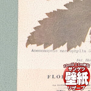 y10mȏwőzǎ NX TQc̕ǎIRESERVE U[u Ȋw RE55943 10mȏ1mPʂŔ̔