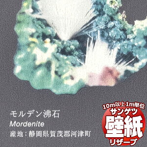 y10mȏwőzǎ NX TQc̕ǎIRESERVE U[u Ȋw RE55944 10mȏ1mPʂŔ̔