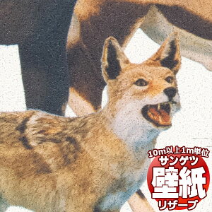 y10mȏwőzǎ NX TQc̕ǎIRESERVE U[u Ȋw RE55947 10mȏ1mPʂŔ̔