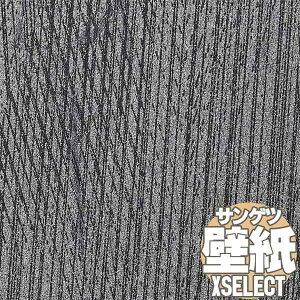 y10mȏwőzǎ NX TQc̕ǎIXSELECT GNZNg JQgqJ SGB2009 10mȏ1mPʂŔ̔