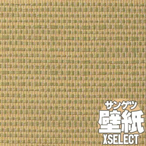 y10mȏwőzǎ NX TQc̕ǎIXSELECT GNZNg JQgqJ SGB2014 10mȏ1mPʂŔ̔