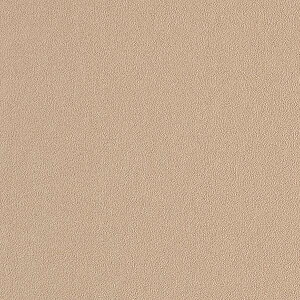 �y1m�ȏ�w���ő��������z�T���Q�c �t�B���� ���A�e�b�N METALLIC / ���^���b�N RoseGold RD-5726 1m�ȏ�10cm�P�ʂŔ̔�