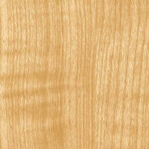 �y1m�ȏ�w���ő��������z�T���Q�c �t�B���� ���A�e�b�N REAL WOOD / ���A���E�b�h �V�J���A���� RW-5041 1m�ȏ�10cm�P�ʂŔ̔�