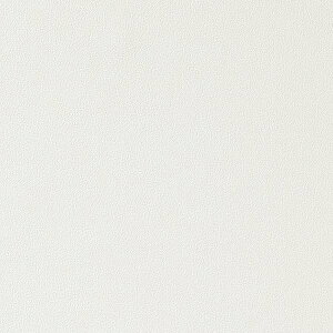 �y1m�ȏ�w���ő��������z�T���Q�c �t�B���� ���A�e�b�N �R�E�C���X���A�e�b�N �P�F TAV-4744 1m�ȏ�10cm�P�ʂŔ̔�