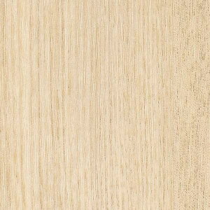 �y1m�ȏ�w���ő��������z�T���Q�c �t�B���� ���A�e�b�N WOOD / �E�b�h �A�b�V���� TC-5065 1m�ȏ�10cm�P�ʂŔ̔�