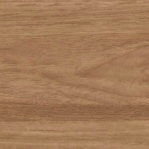 �y1m�ȏ�w���ő��������z�T���Q�c �t�B���� ���A�e�b�N HORIZONTAL GRAIN �E�H���i�b�g���i���j TC-5445 1m�ȏ�10cm�P�ʂŔ̔�