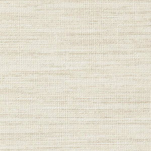 y1mȏwőzTQc tB AebN FABRIC / D t@CNX TN-5172 1mȏ10cmPʂŔ̔