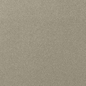�y1m�ȏ�w���ő��������z�T���Q�c �t�B���� ���A�e�b�N METALLIC / ���^���b�N ChampagneGold TR-4379 1m�ȏ�10cm�P�ʂŔ̔�