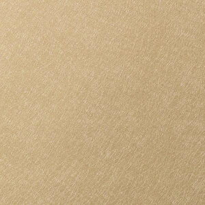 �y1m�ȏ�w���ő��������z�T���Q�c �t�B���� ���A�e�b�N METALLIC / ���^���b�N �o�C�u���[�V���� TR-4418 1m�ȏ�10cm�P�ʂŔ̔�