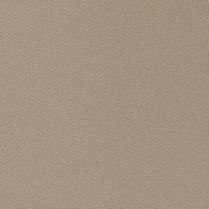 【1m以上購入で送料無料】サンゲツ フィルム リアテック METALLIC / メタリック MochaBeige TR-5152 1m以上10cm単位で販売