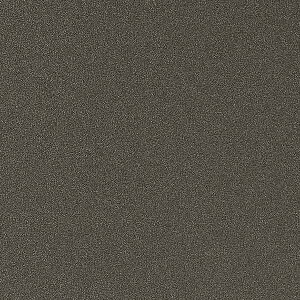 �y1m�ȏ�w���ő��������z�T���Q�c �t�B���� ���A�e�b�N METALLIC / ���^���b�N GunmetalGray TR-5155 1m�ȏ�10cm�P�ʂŔ̔�