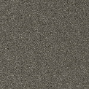 �y1m�ȏ�w���ő��������z�T���Q�c �t�B���� ���A�e�b�N METALLIC / ���^���b�N WarmGray TR-5542 1m�ȏ�10cm�P�ʂŔ̔�
