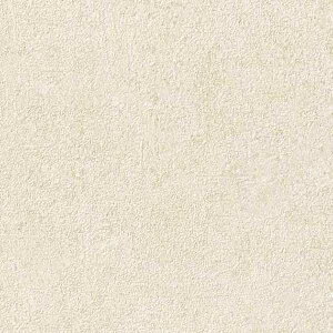 y10mȏwőzTQc̕ǎ tFCX (FAITH) TH32032 10mȏ1mPʂŔ̔