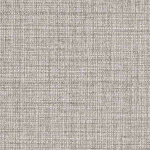 y10mȏwőzTQc̕ǎ tFCX (FAITH) TH32053 10mȏ1mPʂŔ̔