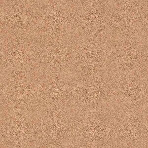 y10mȏwőzTQc̕ǎ tFCX (FAITH) TH32134 10mȏ1mPʂŔ̔